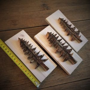 Déco cadre Sapin sur bois massif patiné (tarif/pce)
